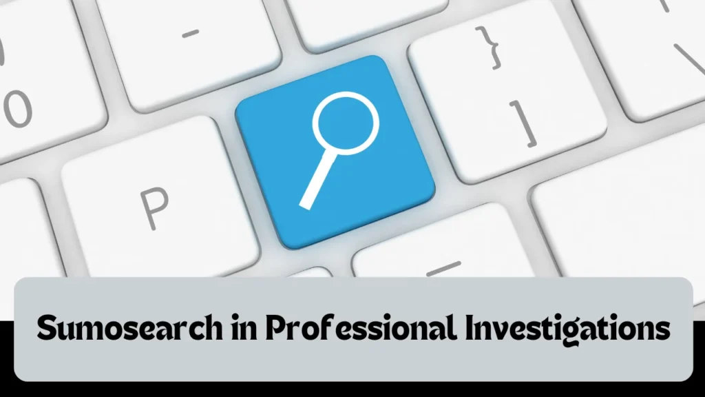 Sumosearch in Professional Investigations