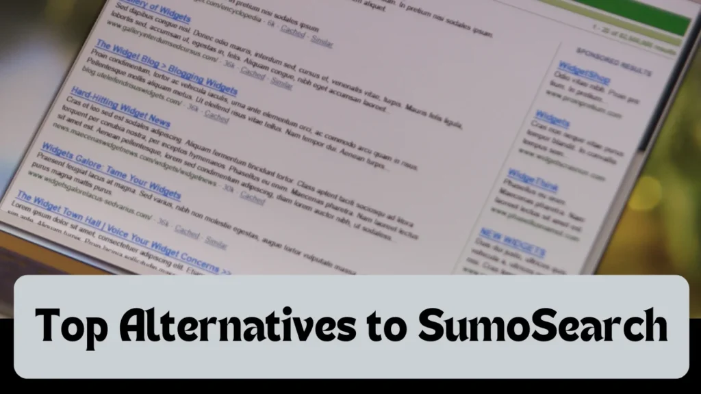 Top Alternatives to SumoSearch